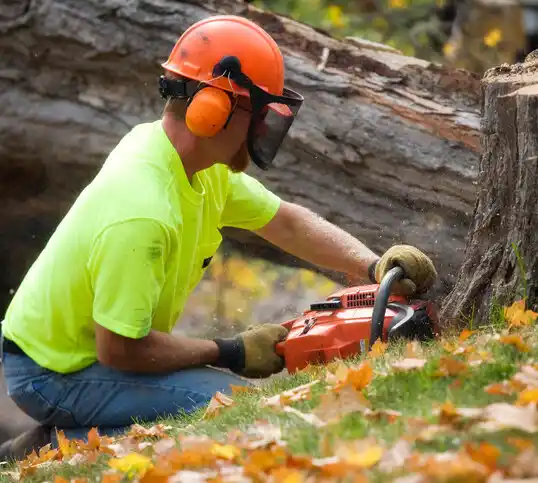 tree services Archdale